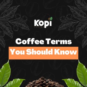 coffee terms to know